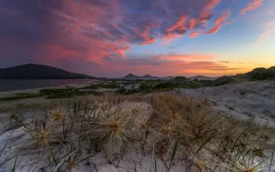 Top NSW Trips You Need to Book Now!