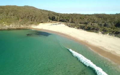 Pacific Palms with Kids: Your Easter and Autumn School Holiday Guide